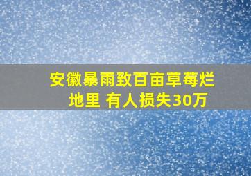 安徽暴雨致百亩草莓烂地里 有人损失30万